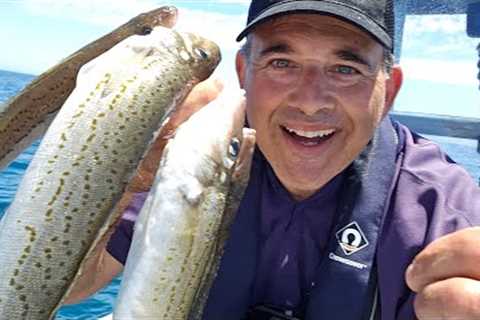 Fishing For the Fish I Love the most! Catch n Cook for Family