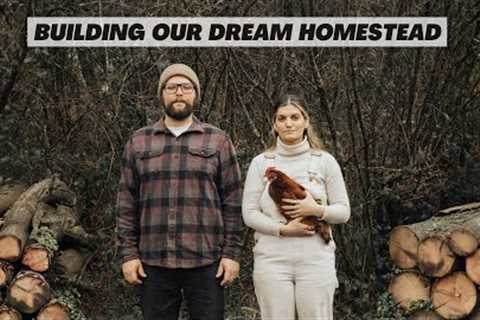 Building a off-grid cabin. Turning abandoned land into a 3 acre homestead