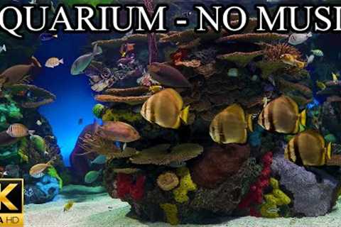 Dream AQUARIUM 4K Underwater Sounds NO Music NO Ads - Fish Tank Underwater Ambience