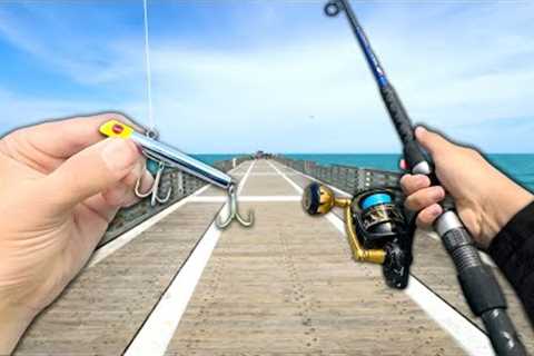 INSANE Pier Fishing!! Eating Whatever I Catch (Catch and Cook)