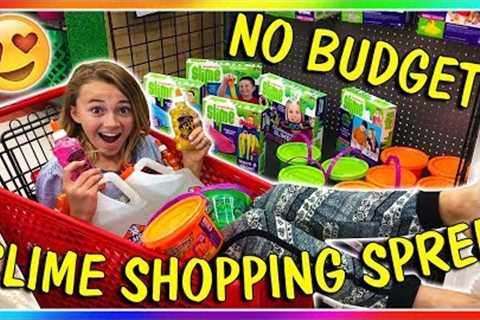 NO BUDGET SLYME SHOPPING SPREE! | We Are The Davises