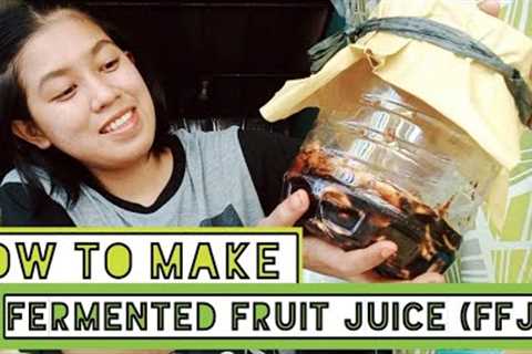 How to make FERMENTED FRUIT JUICE | ORGANIC FERTILIZER FFJ | ANGELICA TAN