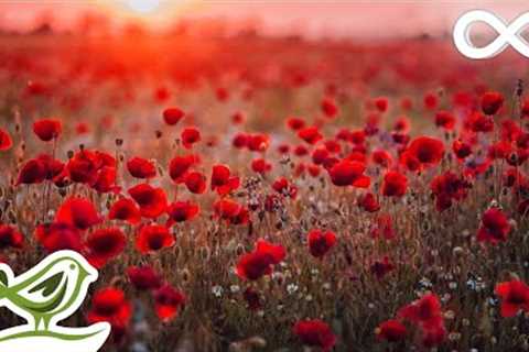 Beautiful Piano Music: Relaxing Music, Romantic Music, Sleep Music, Study Music ★132