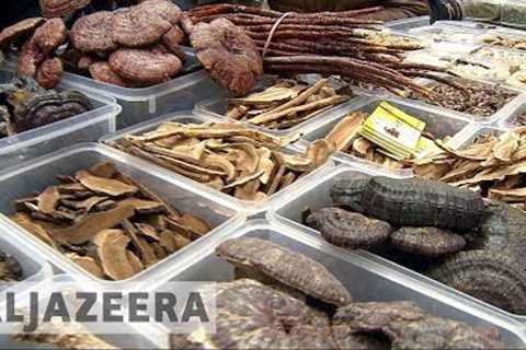 🇨🇳 Chinese traditional medicine gains popularity at home and abroad