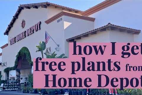 Guide to Proplifting: How to find free plants!