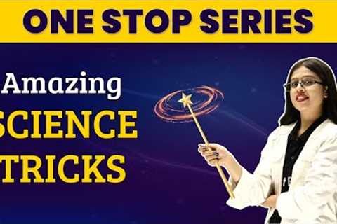 Amazing Science Tricks That Look Like Real Magic | Fun Science Experiments