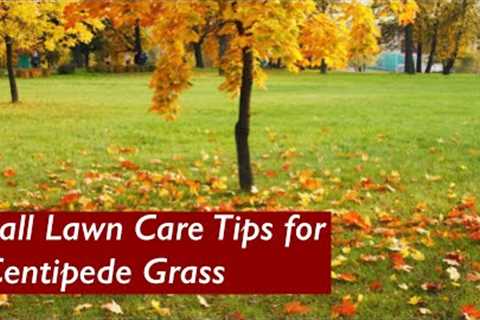 Fall Lawn Care for Centipede Grass | Negative effects of Pre-Emergent | Centipede Lawn Care