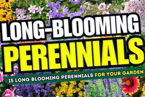 🌼💖 ENDLESS BLOOMS! 15 Long BLOOMING Perennials to Keep Your Garden VIBRANT! 😍🌸
