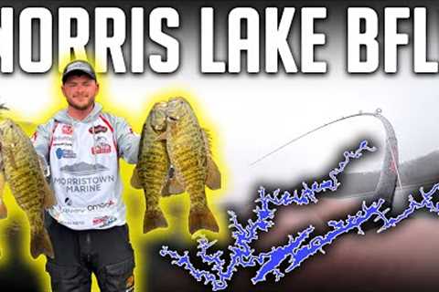 I Found The WINNING Pattern But... Norris Lake BFL