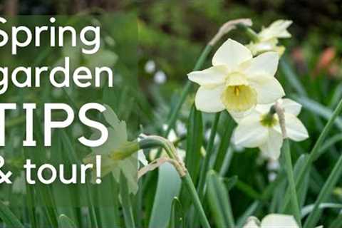 The best thing to do for your garden now...spring garden tips and tour