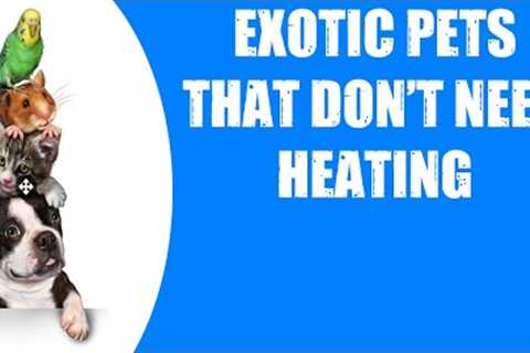 EXOTIC PETS THAT DON'T NEED HEATING
