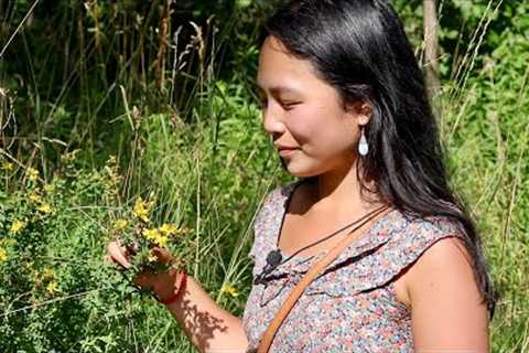 [ASMR] Natural Herbal Medicine Part 1: Picking Medicinal Flowers and Plants 🌼