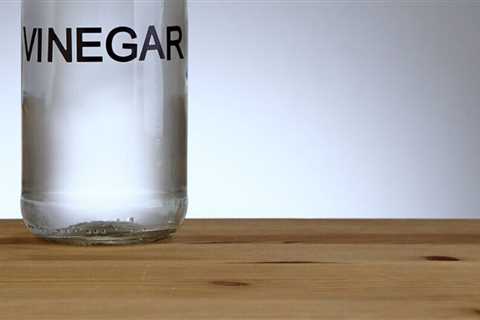 Ten Best Home Remedies to Kill Ants (plus one to stop using)