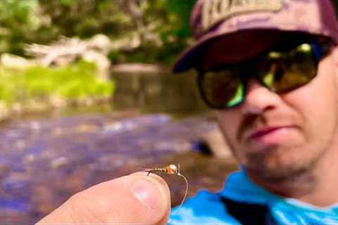 Autumn Fly Fishing in Alpine Victoria for Brown and Rainbow Trout