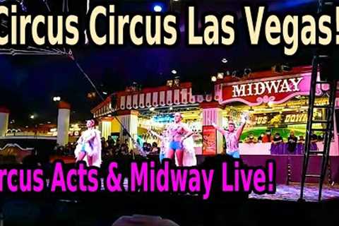 🔥CIRCUS ACT AND MIDWAY AT CIRCUS CIRCUS LAS VEGAS🔥