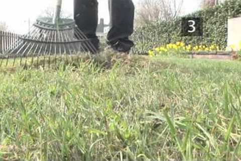How To Care For Your Lawn In Spring - Spring Lawn Care Tips | Garden Ideas &amp; Tips | Homebase