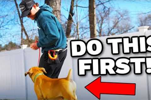 The First Thing I Taught My New Puppy! 🐶 How To Train A Puppy Ep 1