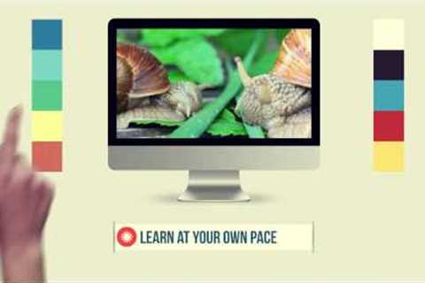 Online HomeSchooling COURSE DEMO from Premiere Christian Academy