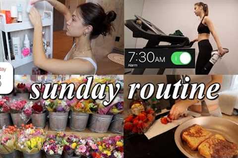 PRODUCTIVE SUNDAY RESET VLOG // organizing, grocery shopping, &amp; deep cleaning