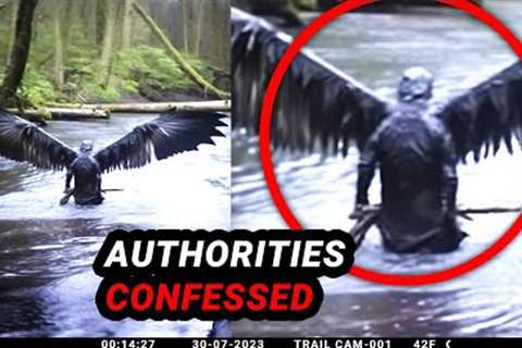 Unveiling the Most Astonishing Trail Cam Footage in History