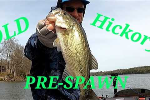 ARE the Bass moving up? ( Secondary Points) OLD HICKORY LAKE!! #falconboats #diawa #pulsefishlures