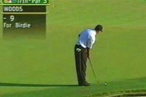 Tiger Woods impressions Golf! Hole in One