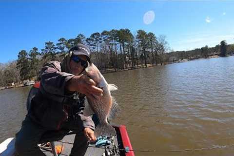 Dingy Water SLAB CRAPPIE, A new place to look, Lake Murray