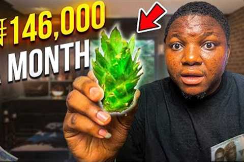 Earn ₦140,000 Naira (💰$96.00) Monthly With This Surprising Side Hustle : Make Money Online In 2024