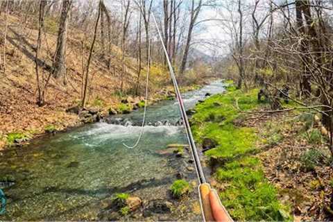 My New Personal Best Trout?? (Tenkara Fly Fishing for Rainbow Trout)