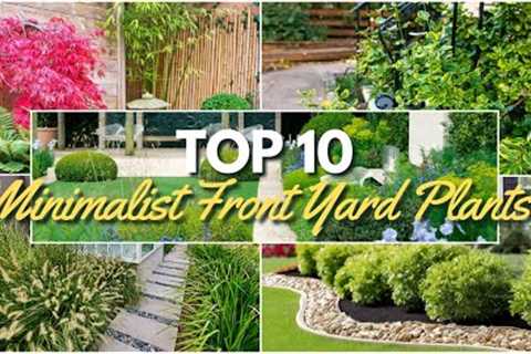 Top 10 Minimalist Front Yard Plants for Stunning Landscaping 🌼🌿