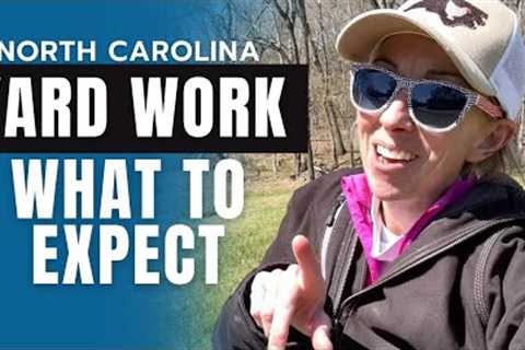 Lawn Care Maintenance You Can Expect in North Carolina