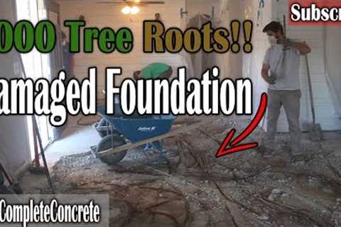 How to Repair a Concrete Foundation, Severe Tree Root Damaged!