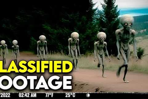 NO WAY! Trail Cam Videos The Internet Can't Seem To Explain