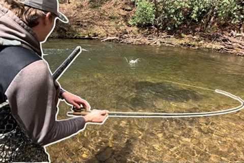 Rainbow Trout Heaven!!! Awesome North GA Fly Fishing