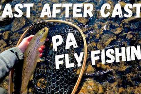 Fly Fishing for PA Trout (SPECIAL Regulations 2024)