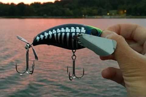 Weird Topwater Lure??? Slaying Early Fall Bass at Little Seneca Lake