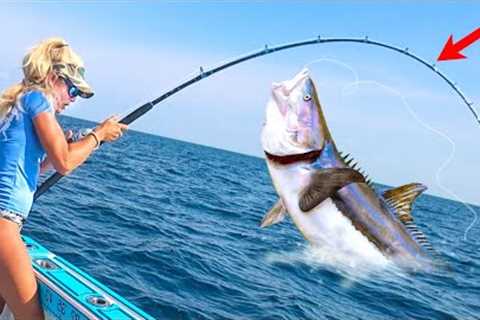 Tossing Out Live Bait for Monster Cobia! (Fish Ribs Catch &amp; Cook Video)