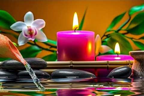Healing Music for Anxiety Disorders , Reduce Stress, Calming Music, Meditation Music, Nature, Bamboo