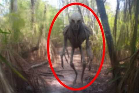 Disturbing Trail Cam Footage That Went Viral Overnight