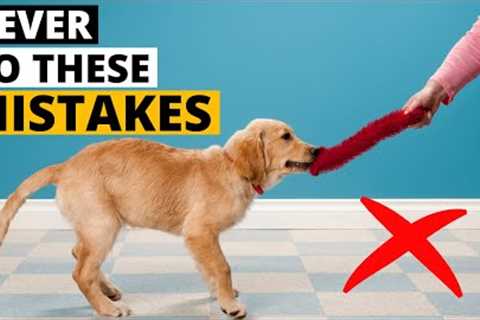 WORST Mistakes I Made Raising my First Golden Retriever