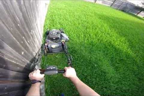 Craftsman EZ Walk FWD Electric Start Walk Behing Mower Mowing Tall Grass