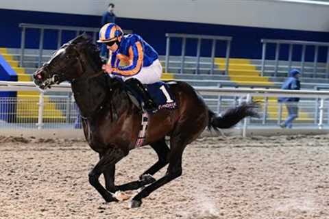 AGENDA advertises Classic claims for Aidan O'Brien at Dundalk
