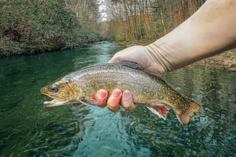 Should These Fish Count? (Controversial Fly Fishing Opinion)