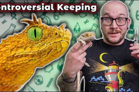 You Probably Wont Watch This Video About Reptile Experimentation... But You Should!