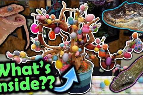 Our Reptiles get an Easter Tree!!