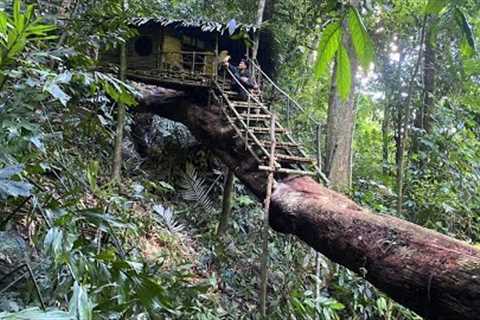 Full Video 1 Month Solo Bushcraft. Build a box-shaped house on a tree. Survive in the Wild.