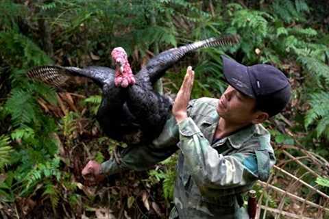Survive alone trap big and ferocious turkeys | Survival skills | Đặng Văn Toàn