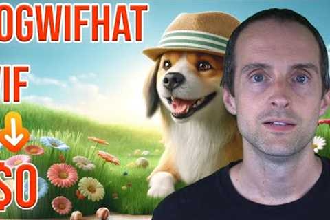 dogwifhat WIF is another crypto memecoin rugpull on Solana