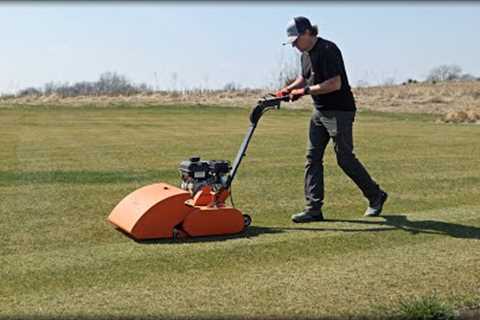 First Day In The Lawn 2024