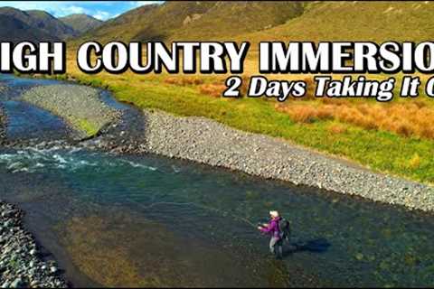 High Country Immersion - Fly Fishing Brown Trout in a Gin-Clear Mountain River ~ Part 1